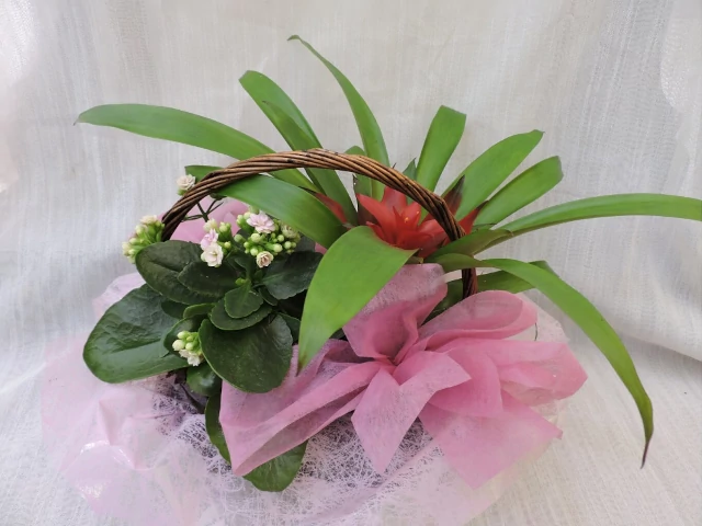 producto de Swad Restaurante